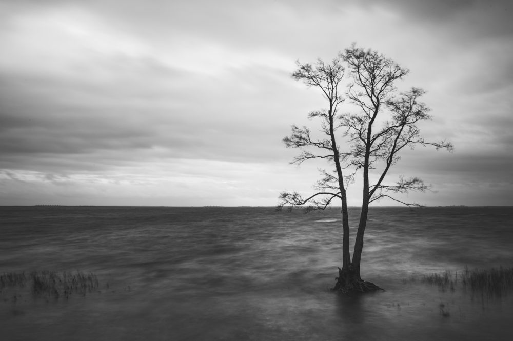 Минимализм на финском заливе