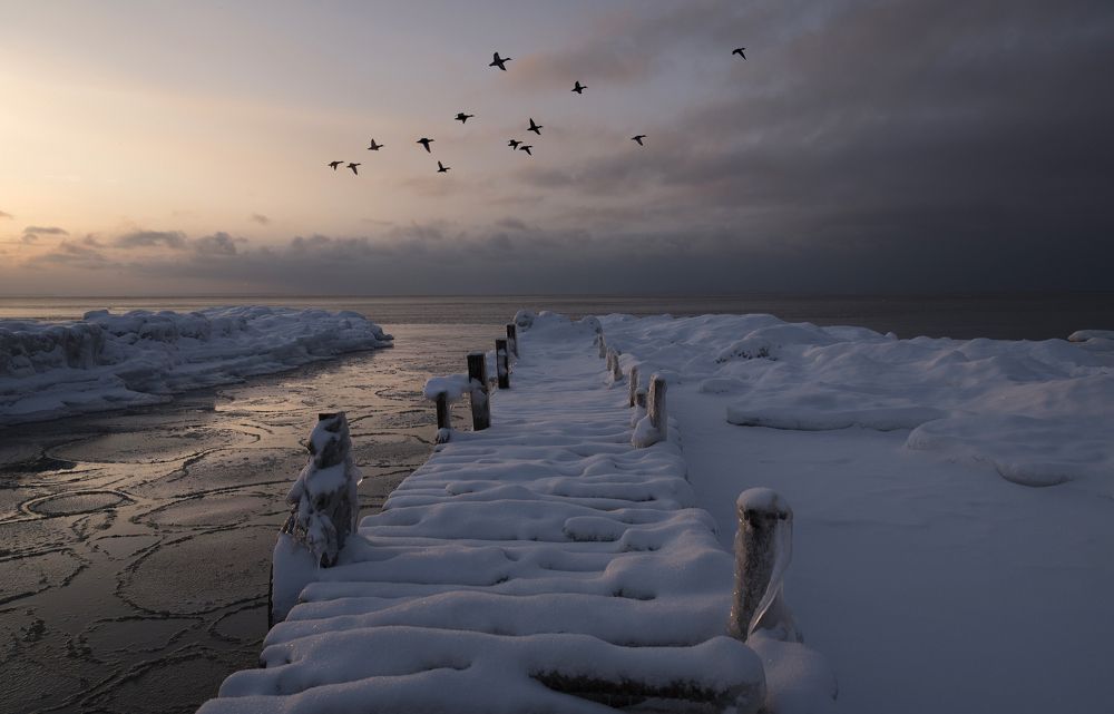 Of ducks and old jetties