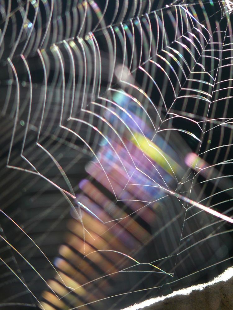 Радужная паутинка.