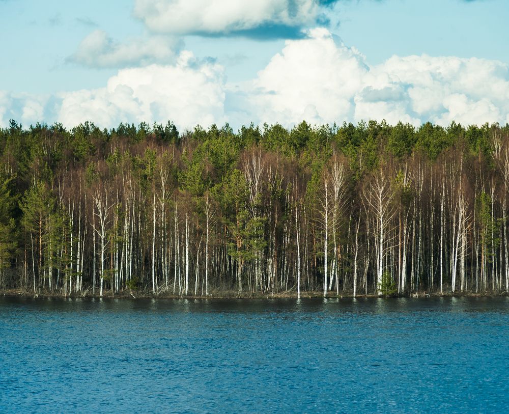 Природа России