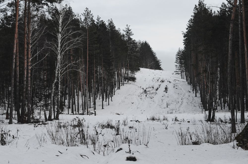 Photograph by Евгений Мокроусов