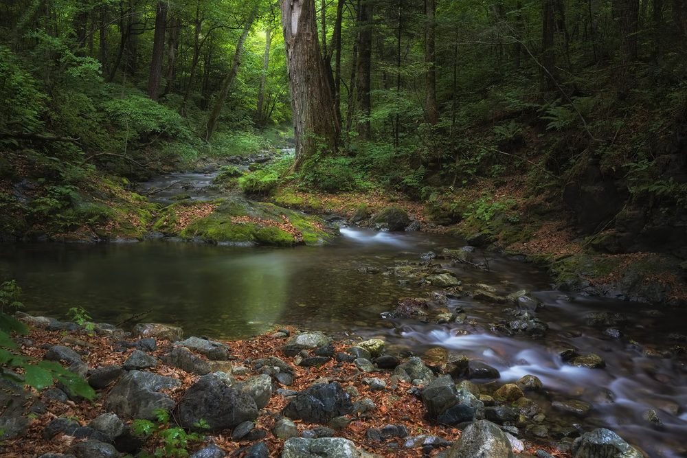 река Таёжная (Пензал)