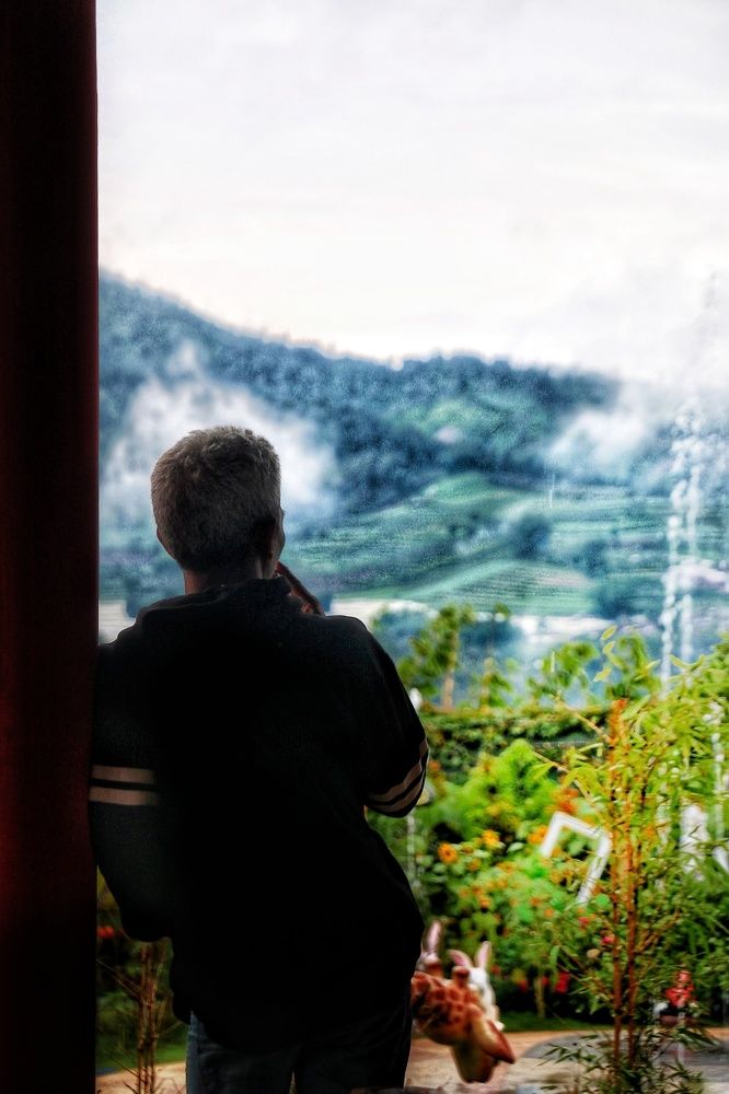 see the fog in the mountains