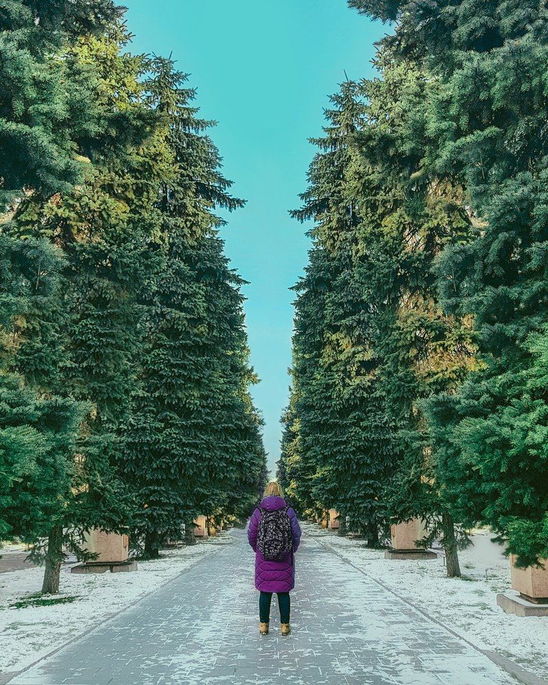 Фото в парке