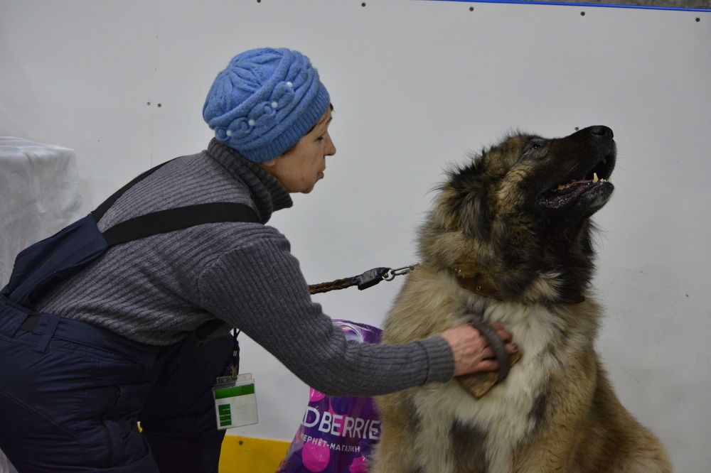 Ты на свете всех милей.