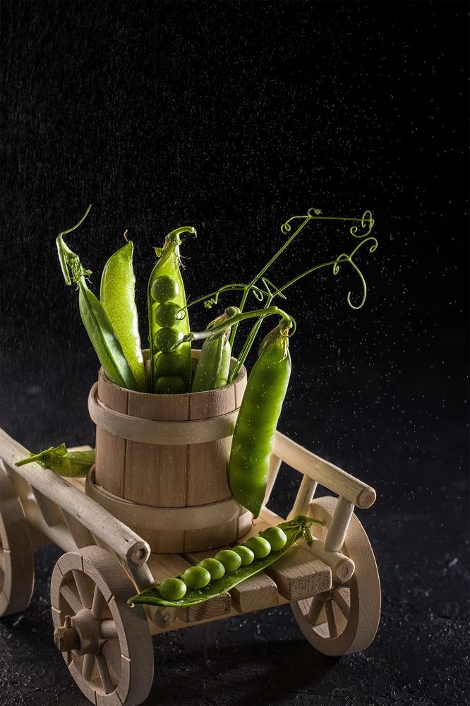 Урожай гороха