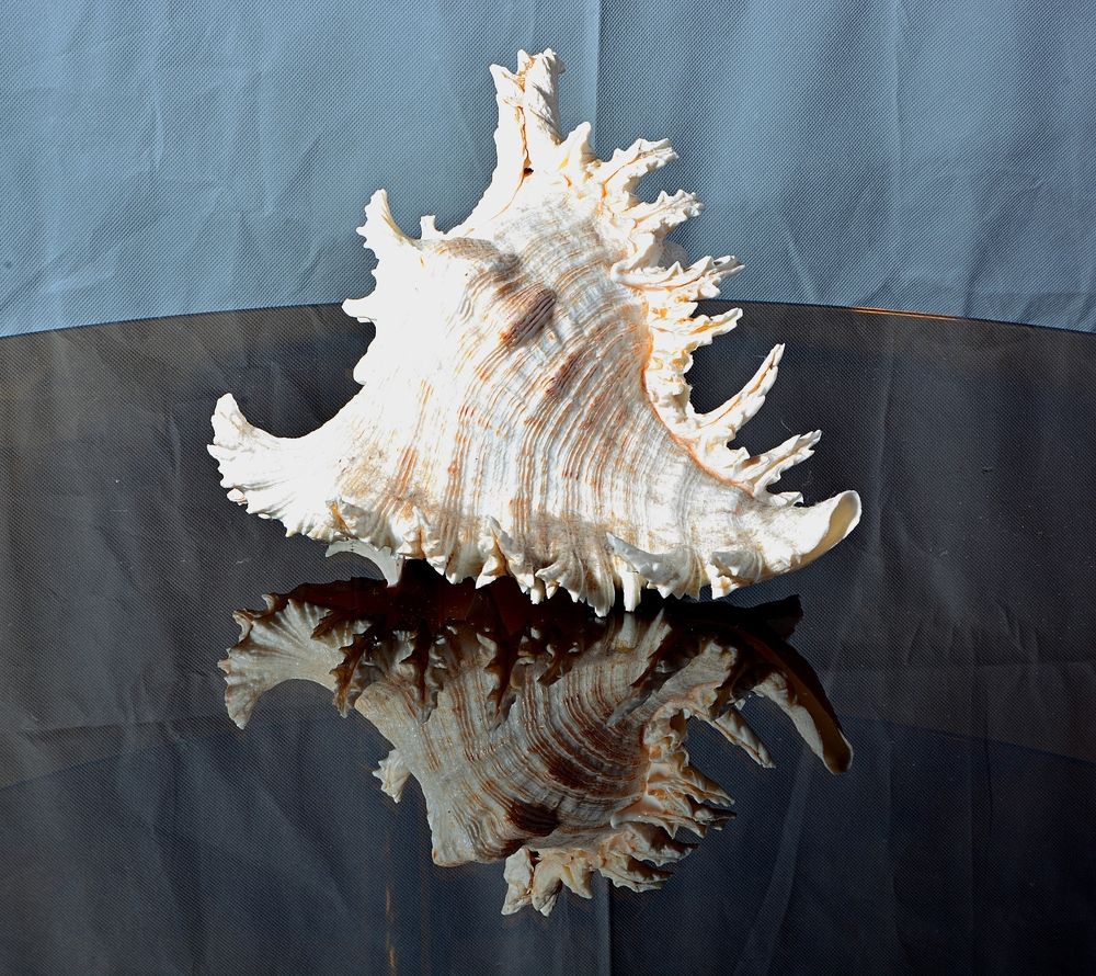 Photograph by Алексей Епишин