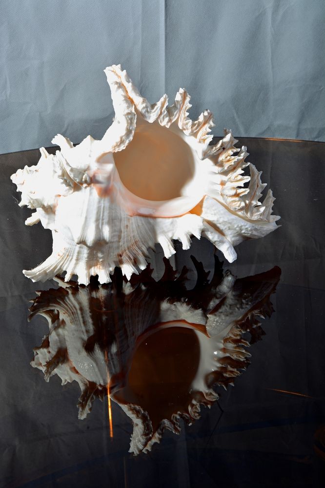 Photograph by Алексей Епишин