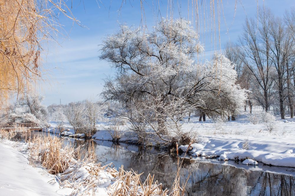 Мороз и солнце в Макеевке