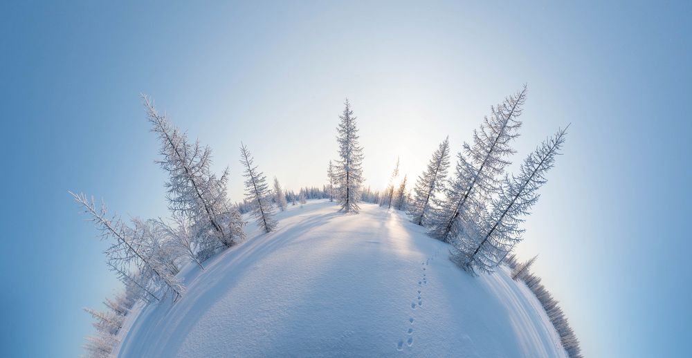 снежная полусфера