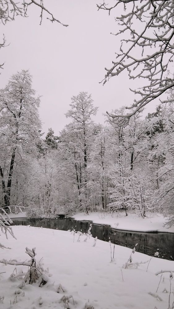 Photograph by Ирина Корнева