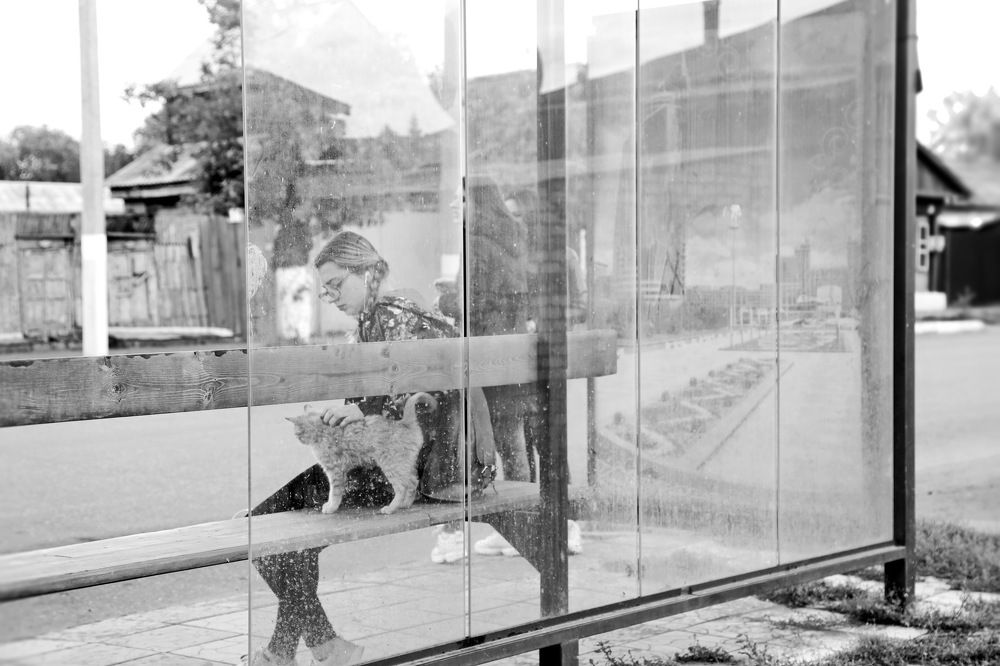 Photograph by Крестников Валерий