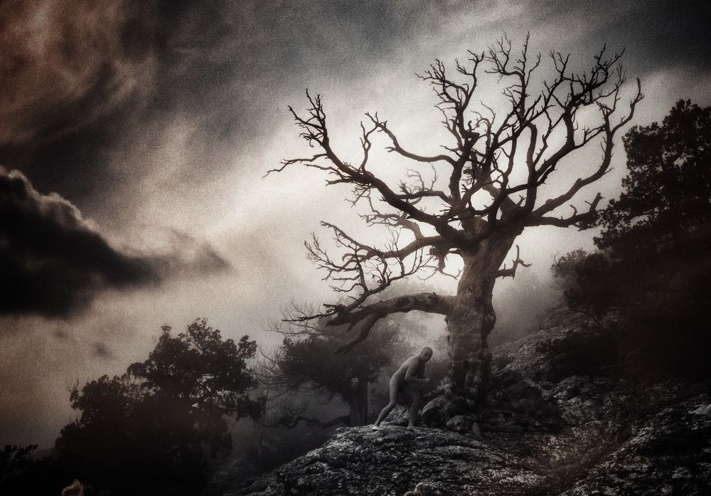 Потерянный остров