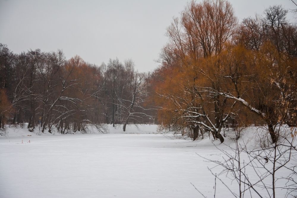 Зимняя осень
