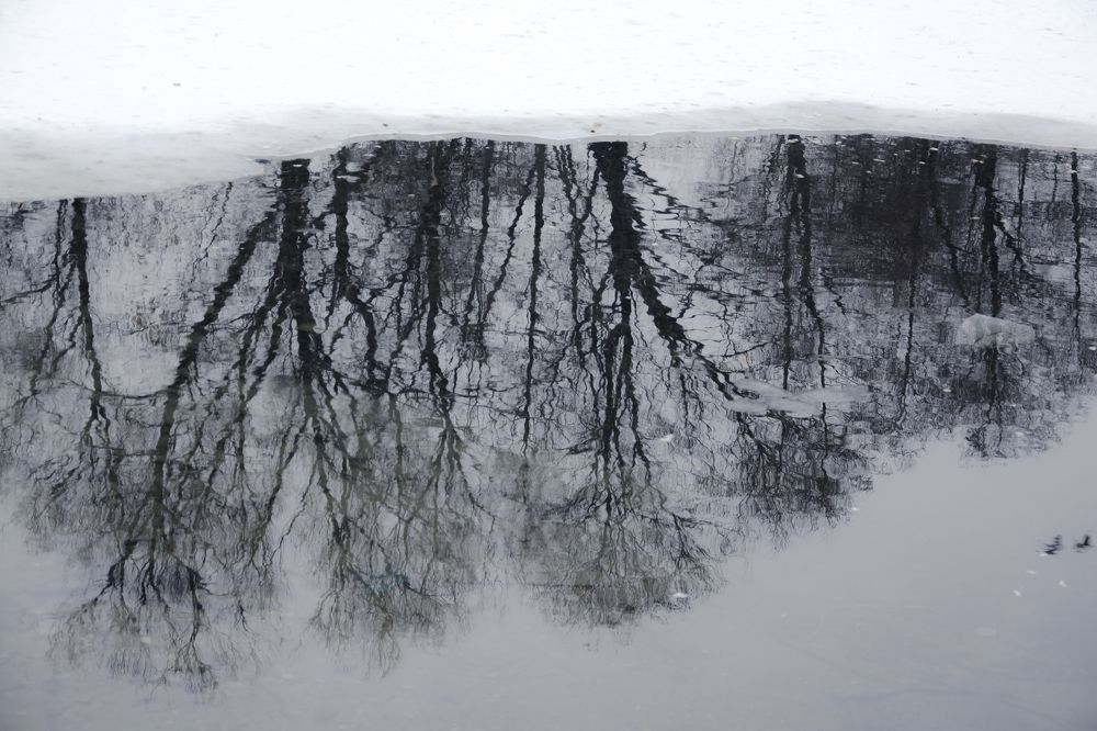 Акварель зимы