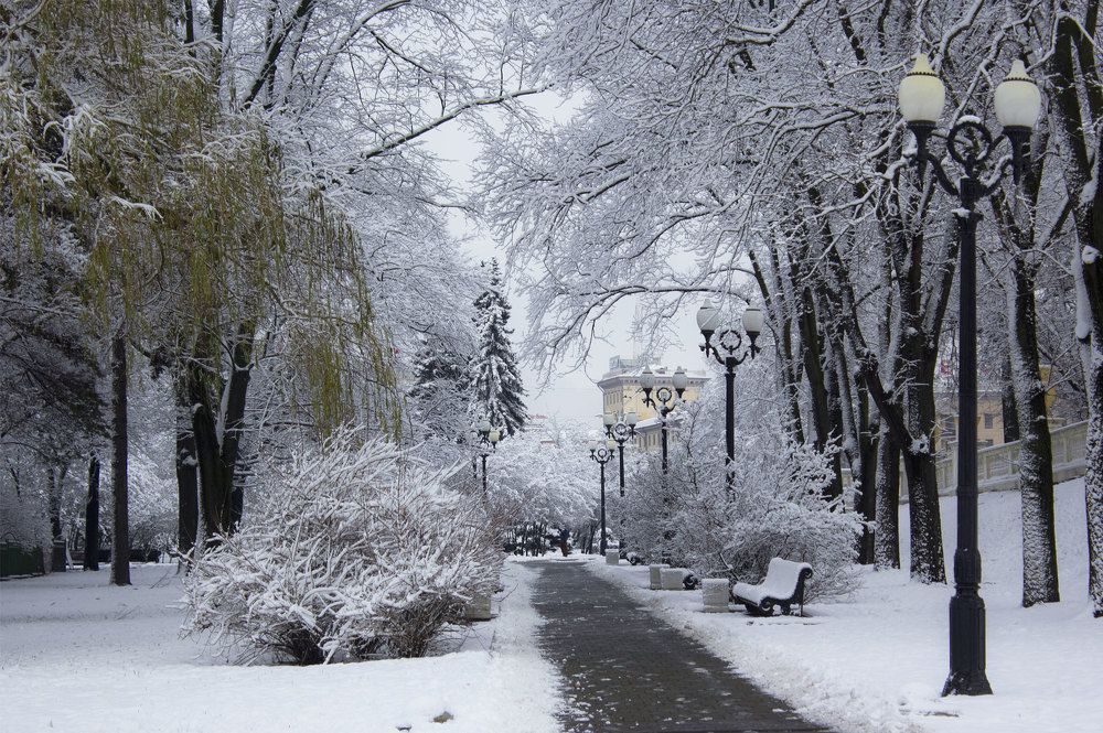 Зимняя сказка