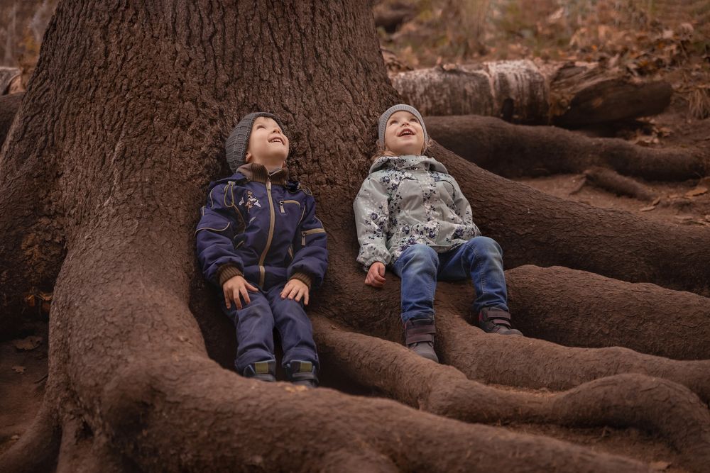 Дети и дерево