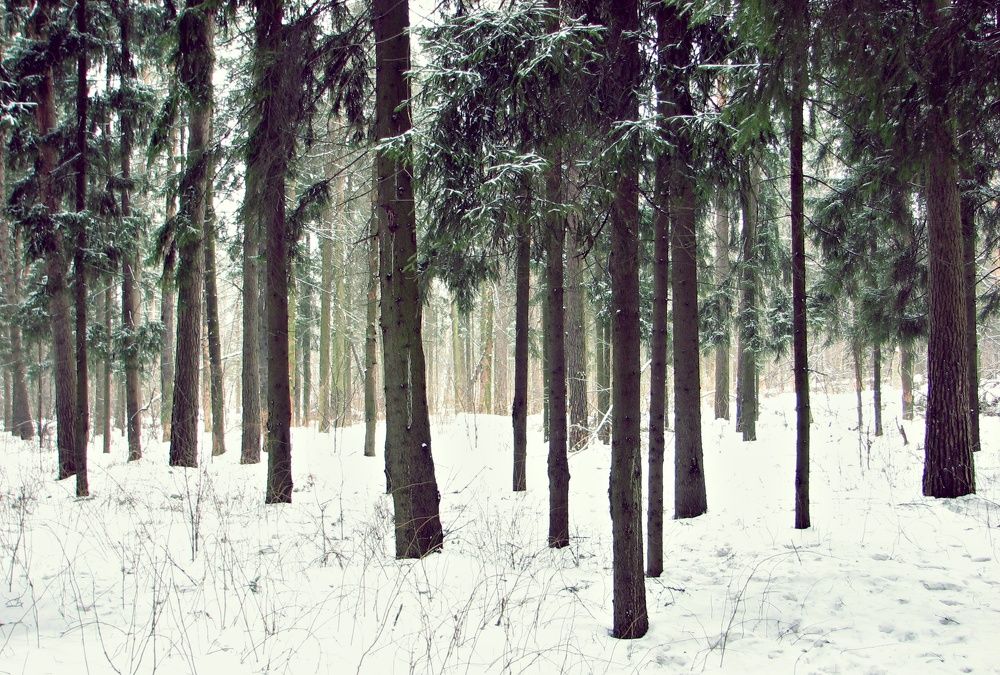 Photograph by Воропаева Юлия