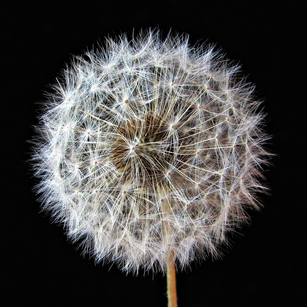 Photograph by Воропаева Юлия