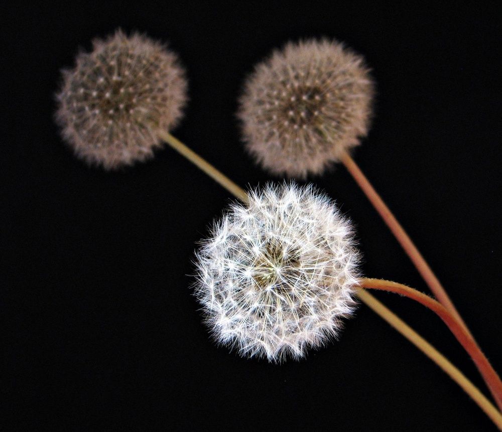 Photograph by Воропаева Юлия