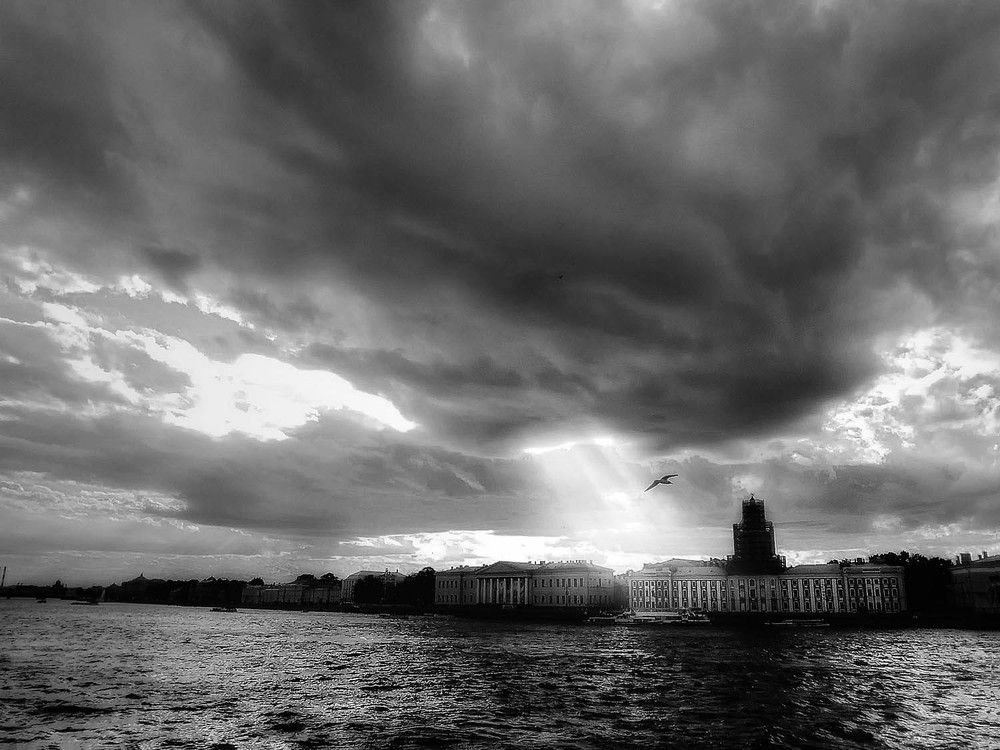 Перед бурей