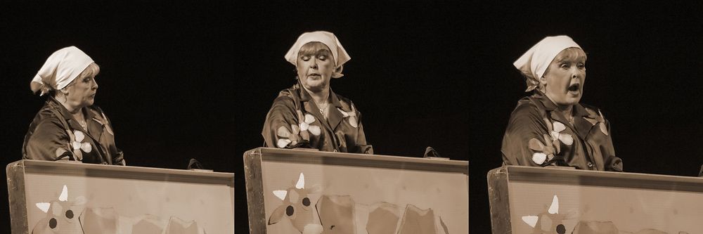 Говорит Ада Роговцева