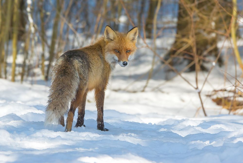 Ну, ты заходи, если что…
