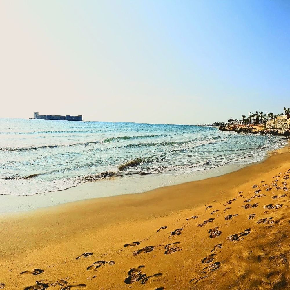 Светлое будущее