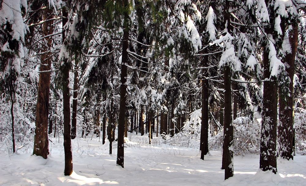 Photograph by Воропаева Юлия