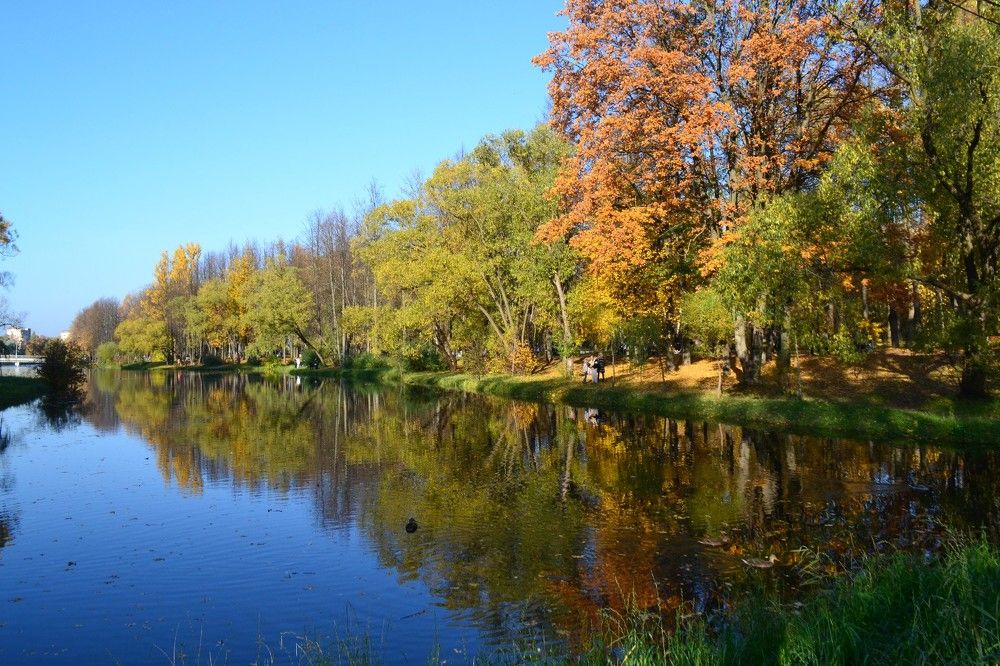 Буйство красок