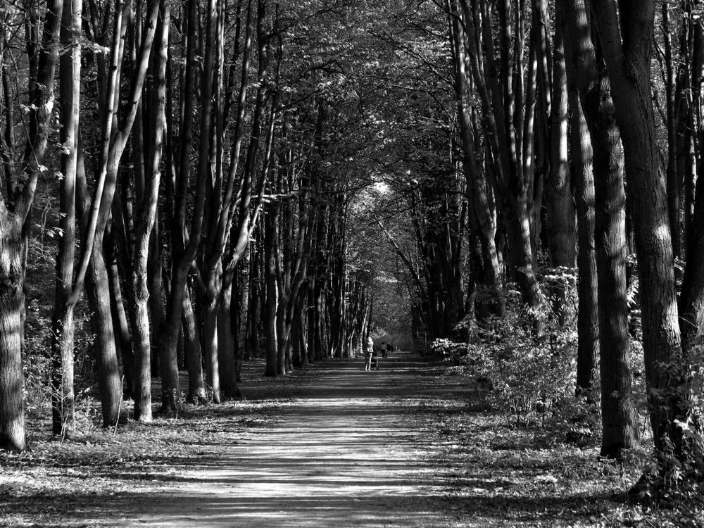 Photograph by Воропаева Юлия