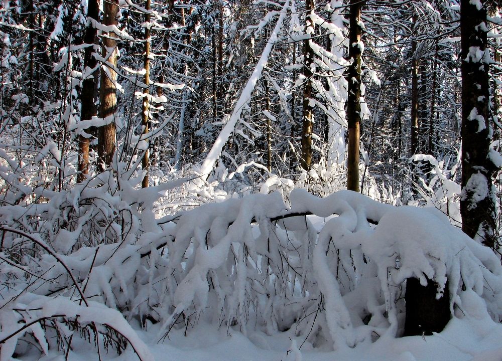 Photograph by Воропаева Юлия