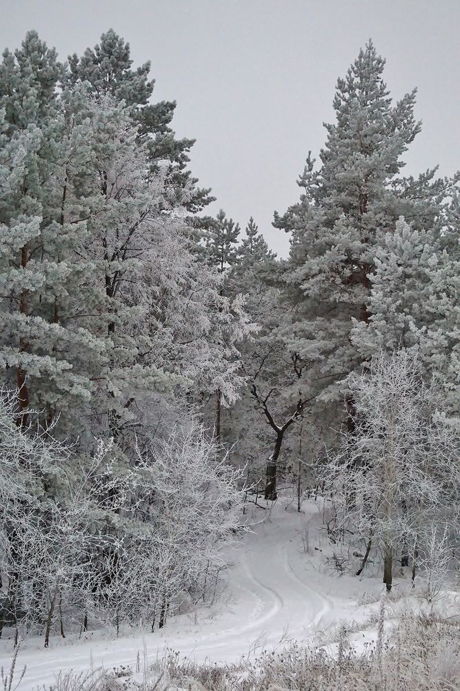 Photograph by Александр Попов