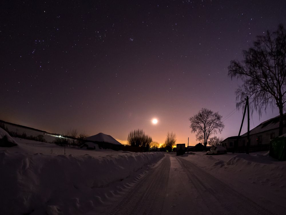 Photograph by Городничева Елена