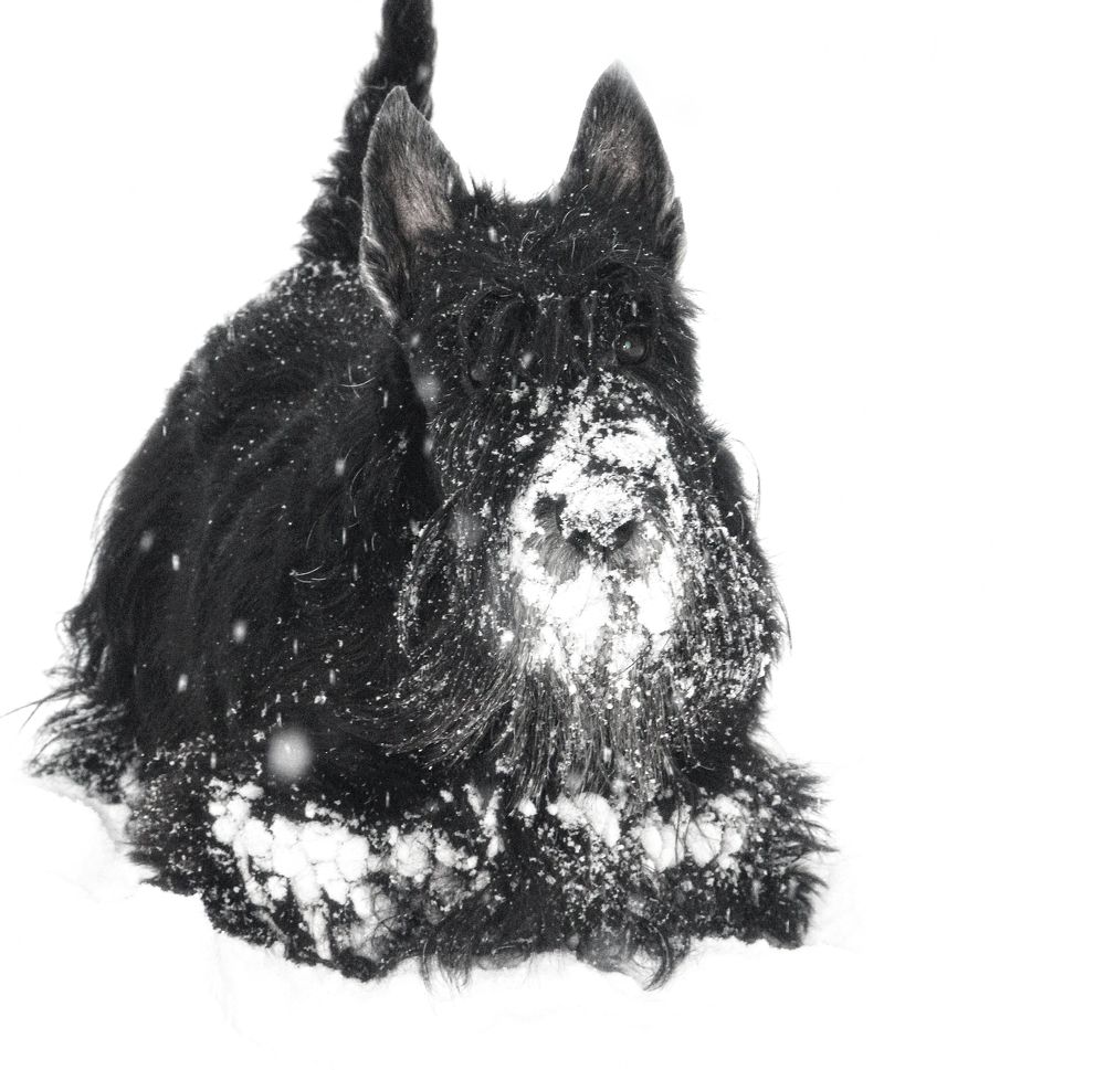 Натуральный фон.