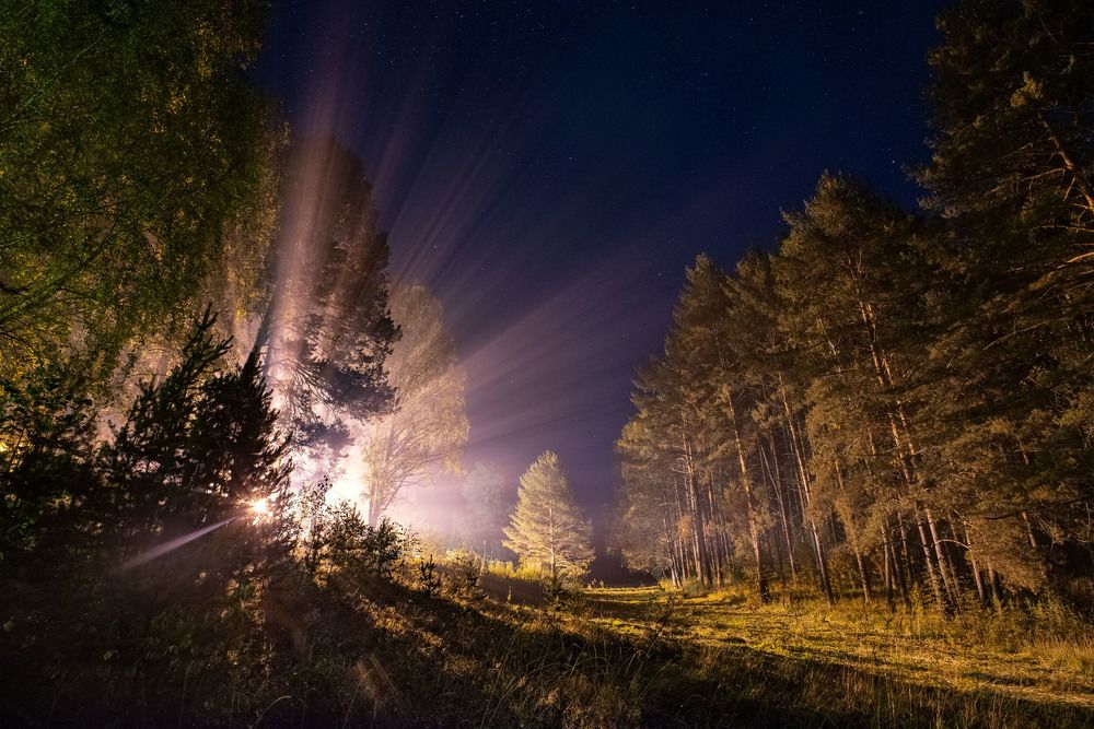 x-files,контакт