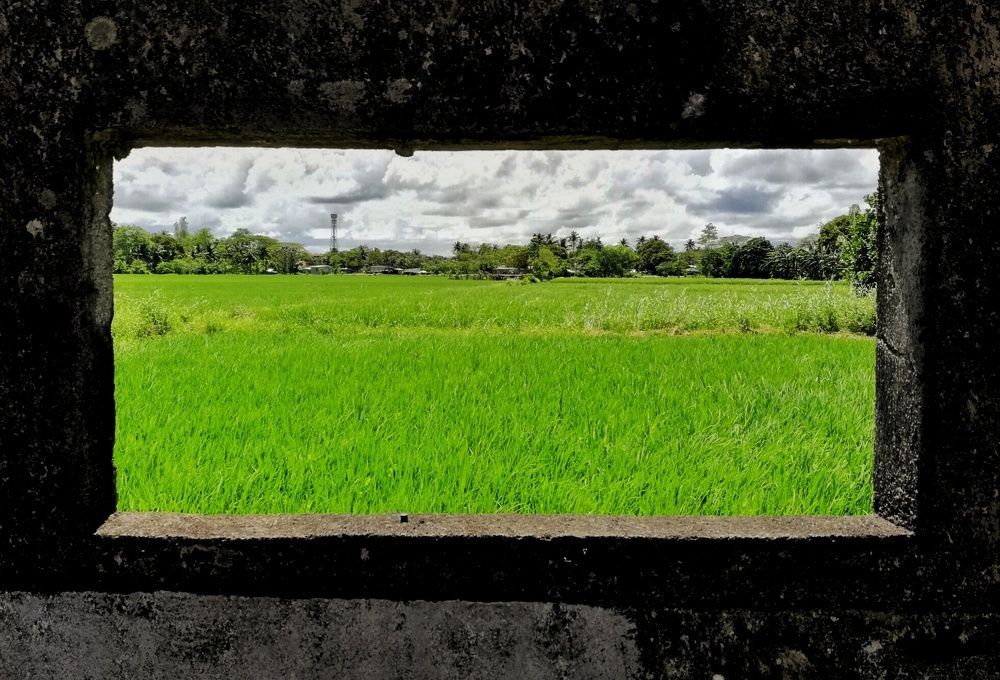 framing