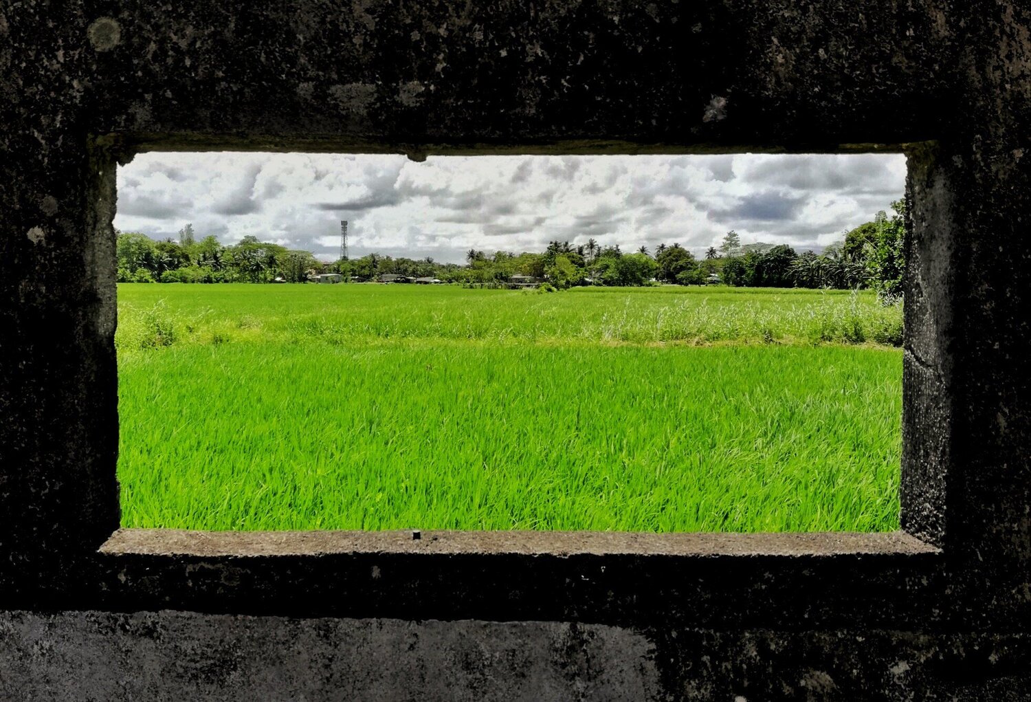 framing