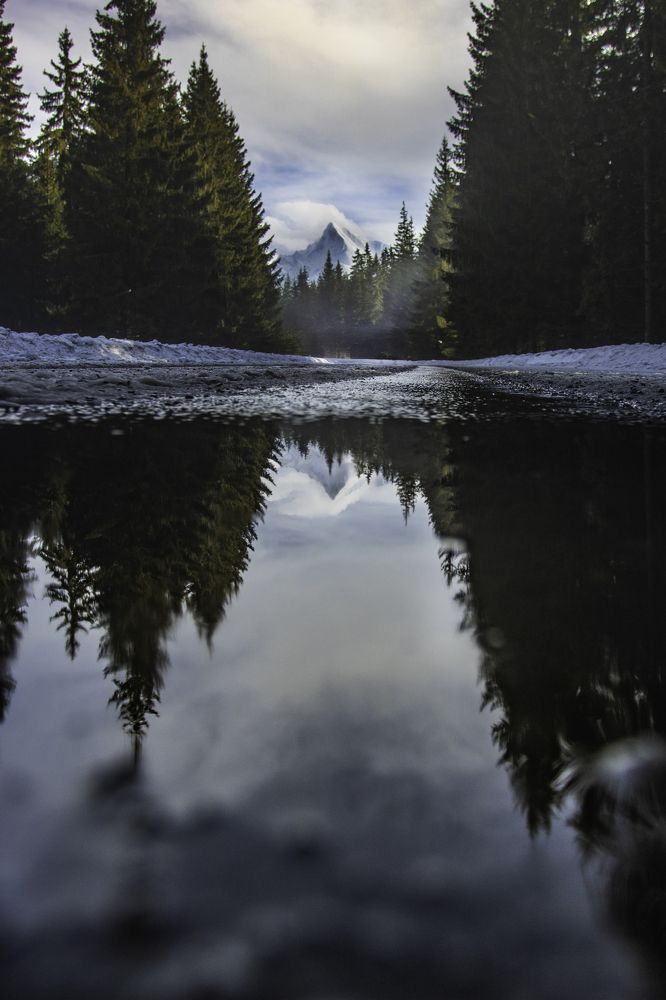 The same thing twice