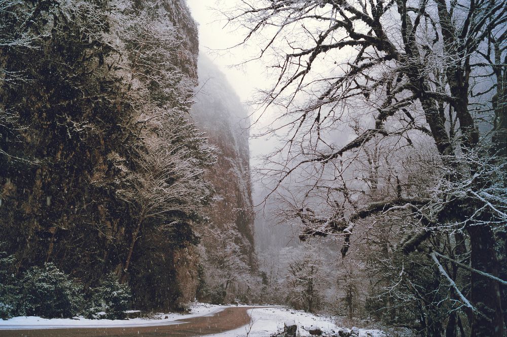 Photograph by Enya Gromova