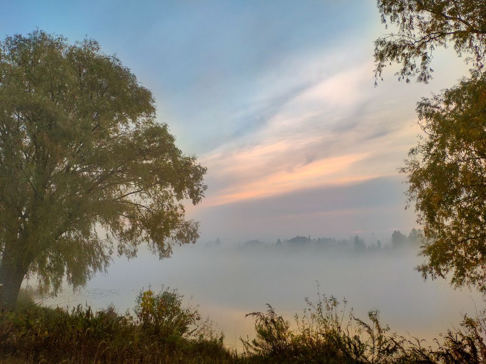 Утро на реке