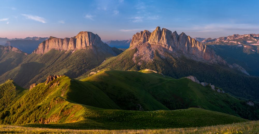 Розовые Ачешбоки.