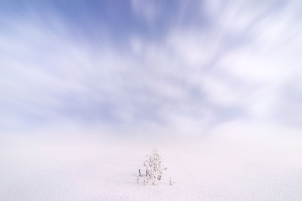 в стиле минимализма