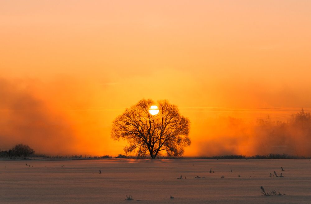 Дух красной планеты