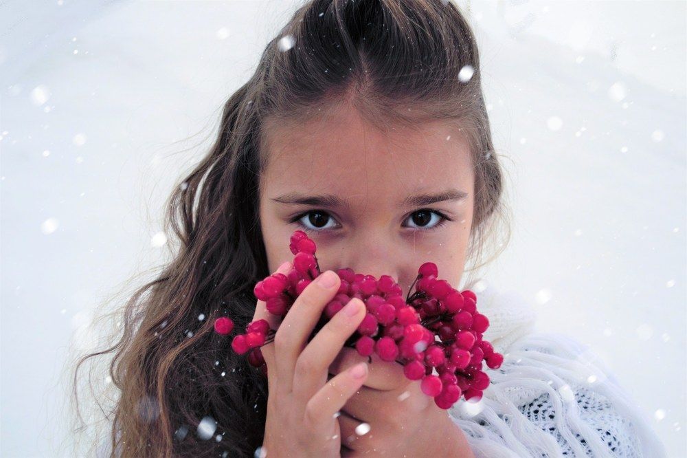 Ягода калина