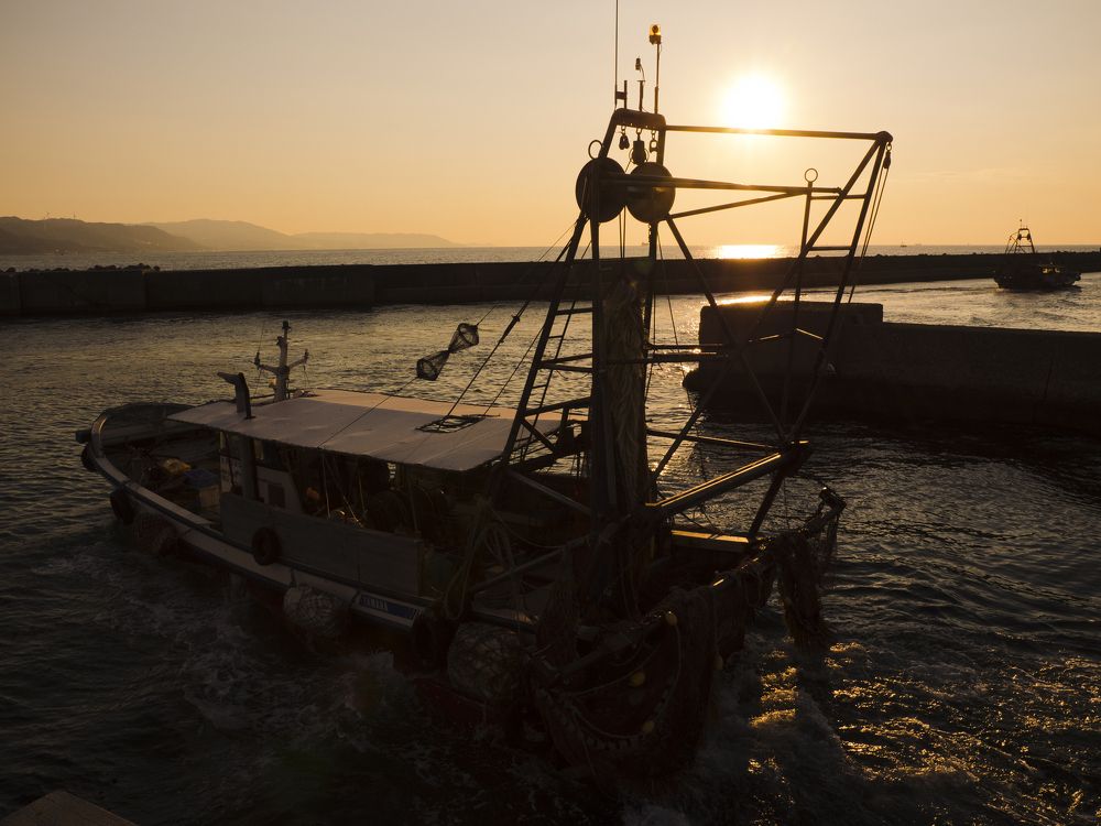 Fisherman's borts in sunset