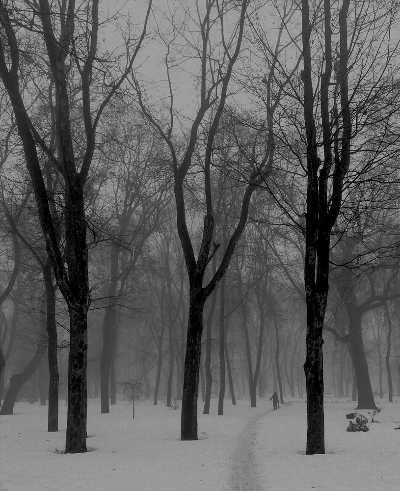 Графика зимы