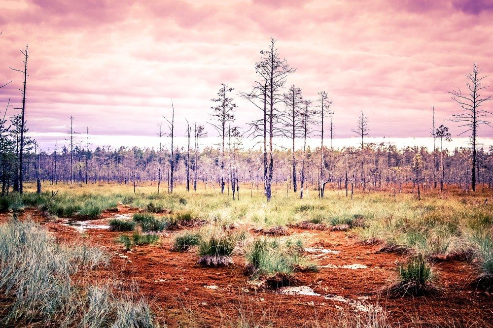 Равновесие