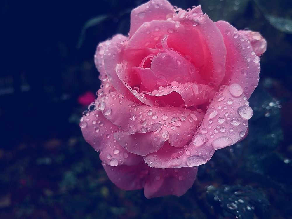 Хрустальный цветок