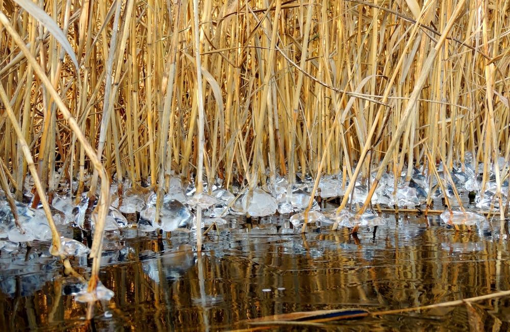 Отражение прекрасного